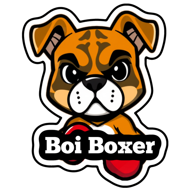Boi Boxer
